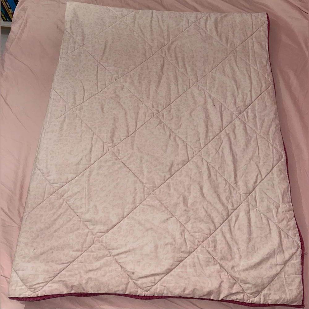 VINTAGE VICTORIA’S SECRET PINK “SO MUCH LOVE SO LITTLE TIME” QUILT - Picture 14 of 16